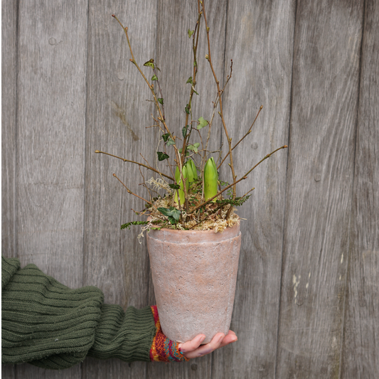 The Potted Thicket